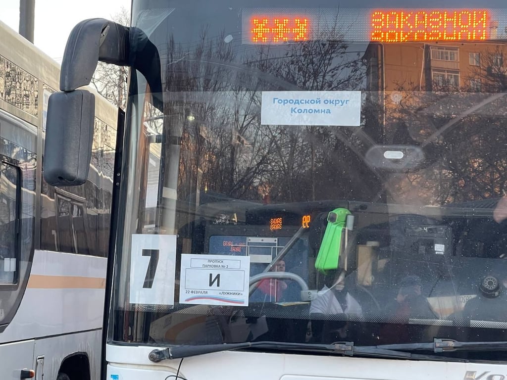 Массовка для путина