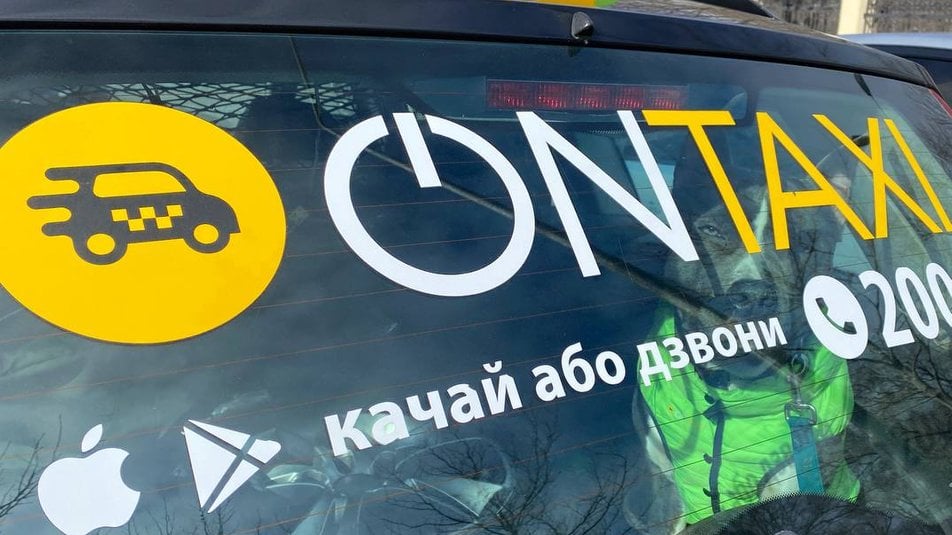 Собака работает в такси