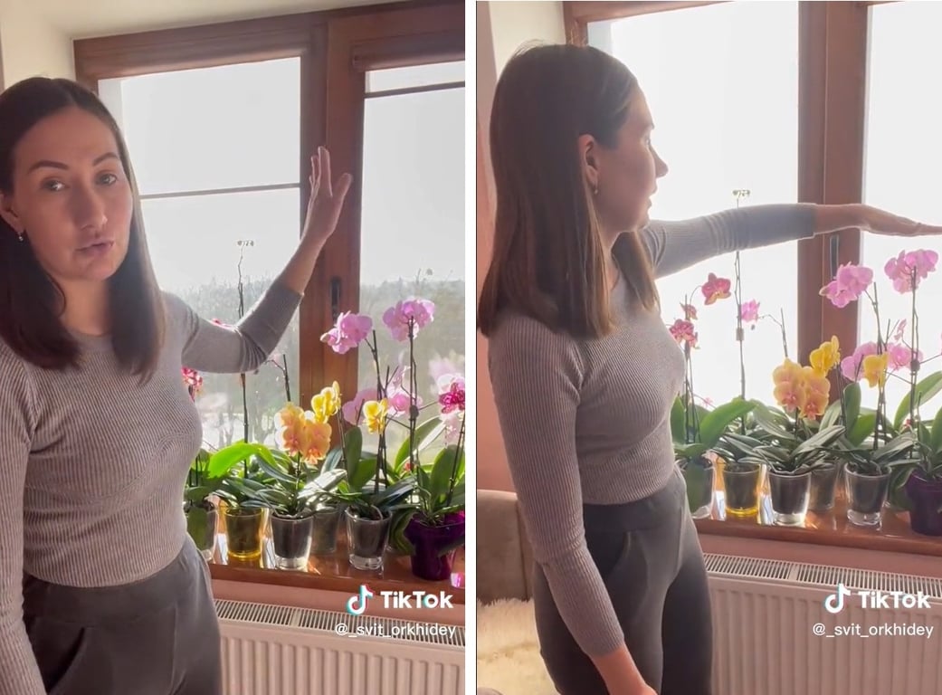 Як доглядати за орхідеєю весною