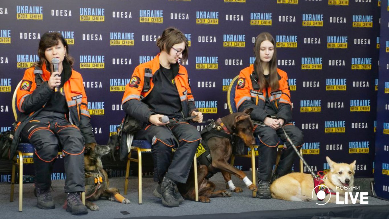 В Одесу приїхали чотирилапі герої: собаки понад добу шукали людей під завалами у Дніпрі