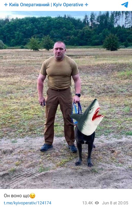 Меми про акулу, яка з'їла росіянина у Єгипті. Фото: соцмережі