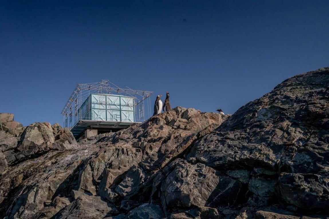 На станции "Академик Вернадский" установили украинскую артинсталляцию