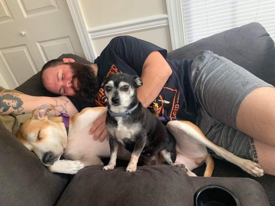 Як ревнують собаки: курйозне фото