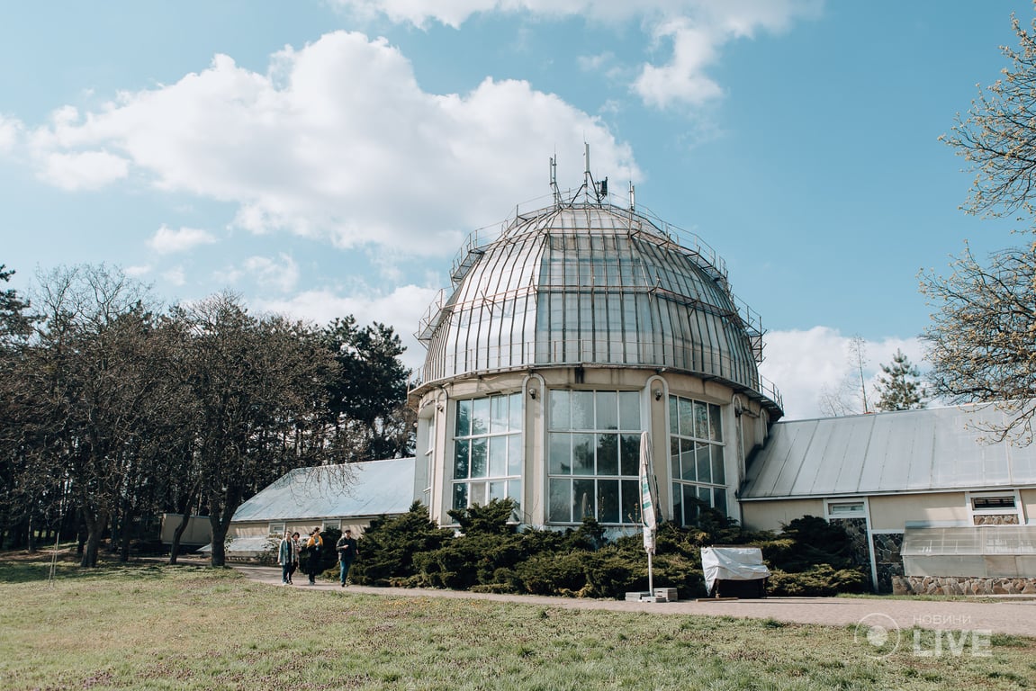 Весенний вернисаж в ботаническом саду Киева