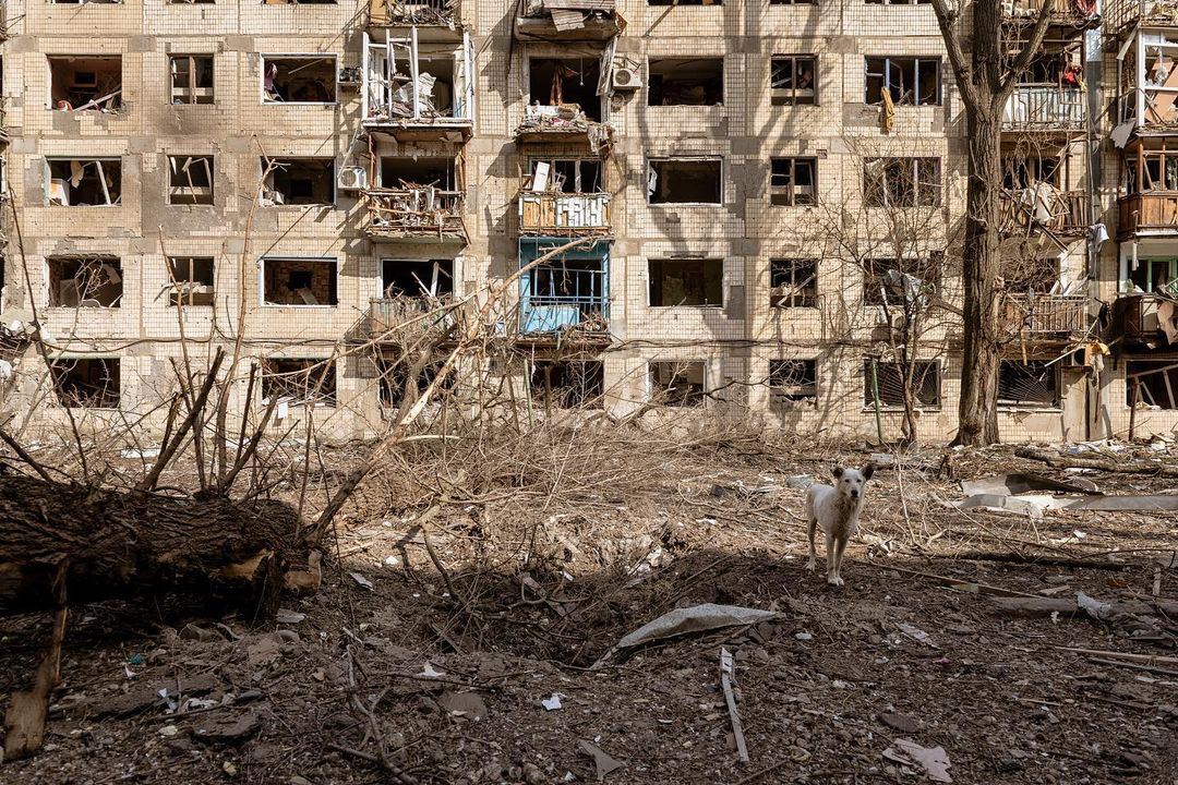 Украинцы во время войны