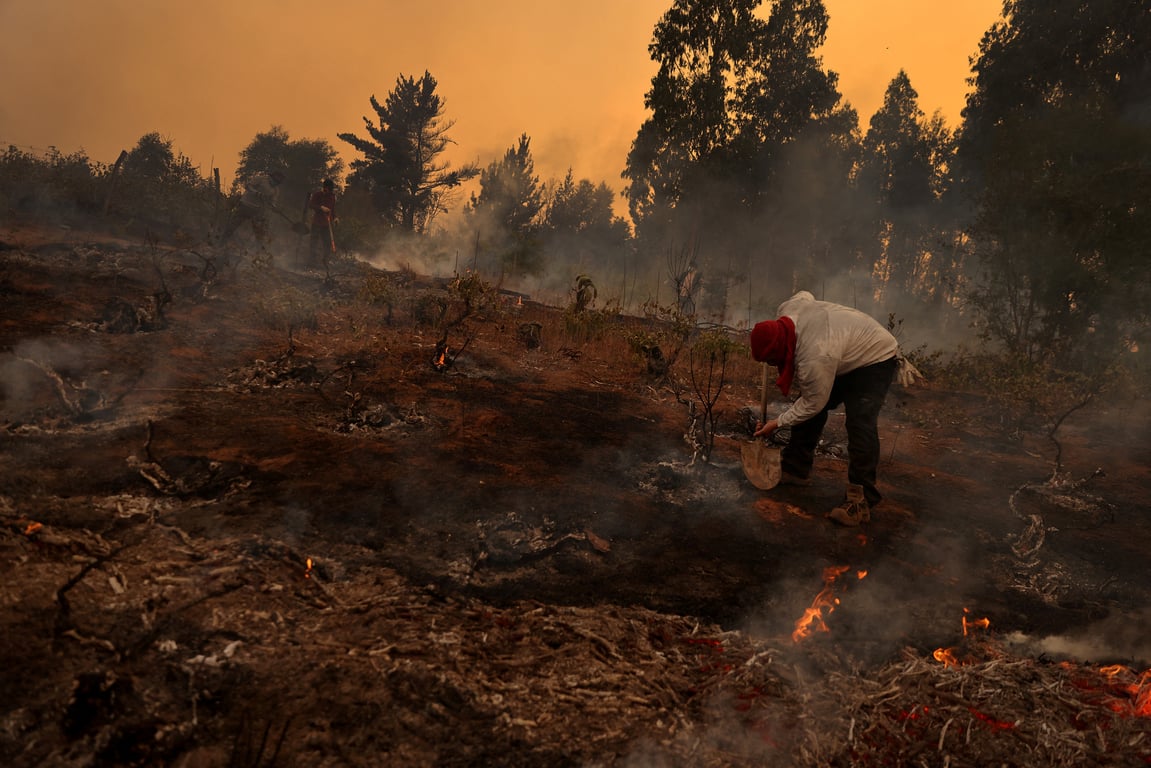 Лесные пожары в Чили