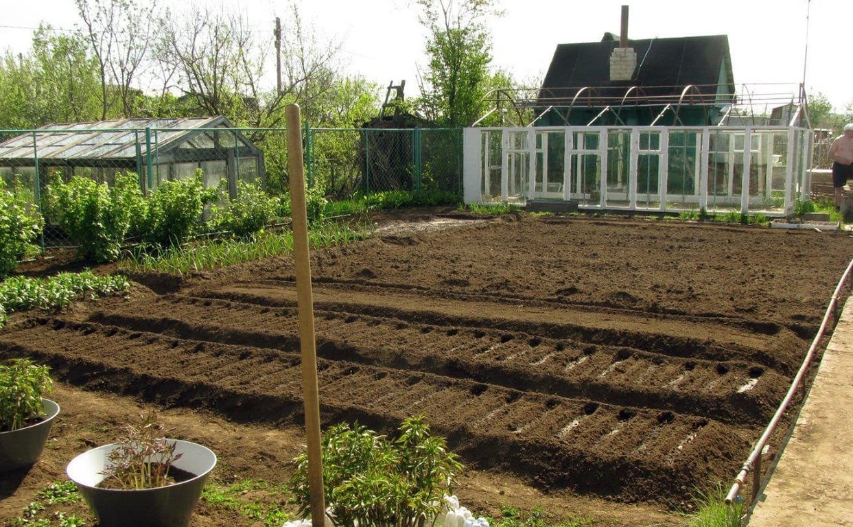 Який час підходить для посадки огороду