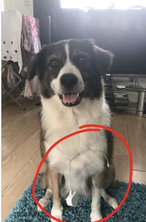 Коли ти лінивий, але винахідливий: курйозні фото