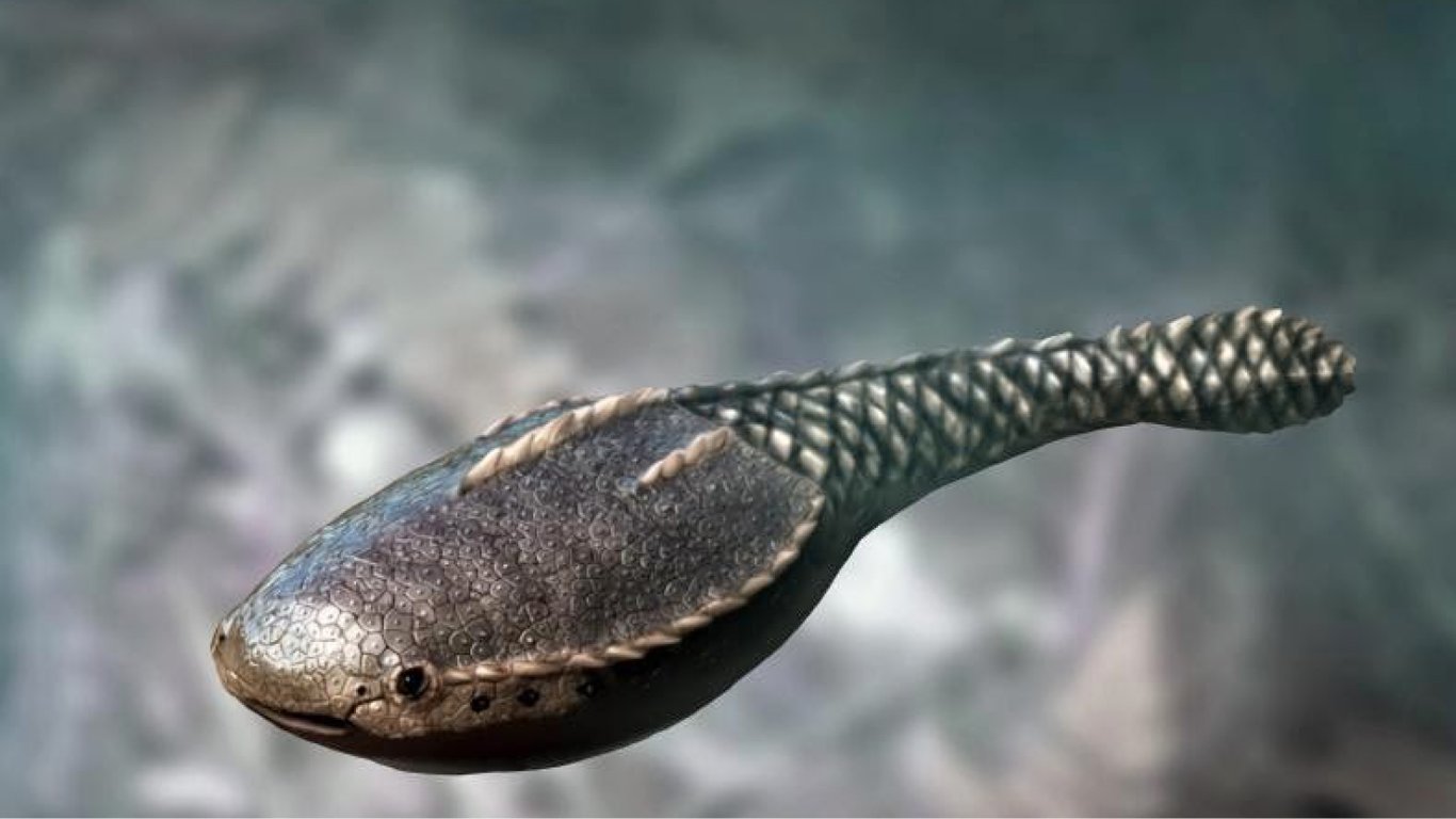 Доисторическая рыба объясняет эволюцию черепа человека. Что узнали ученые? - 290x166