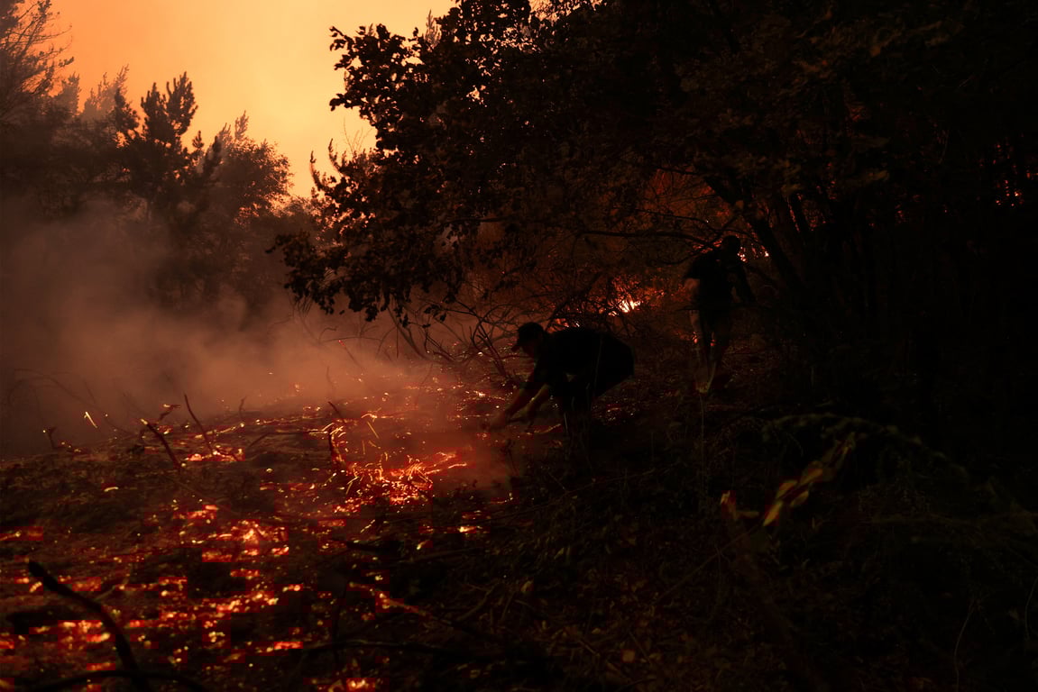 Лесные пожары в Чили