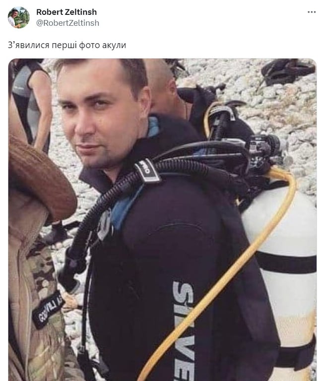 Меми про акулу, яка з'їла росіянина у Єгипті. Фото: соцмережі