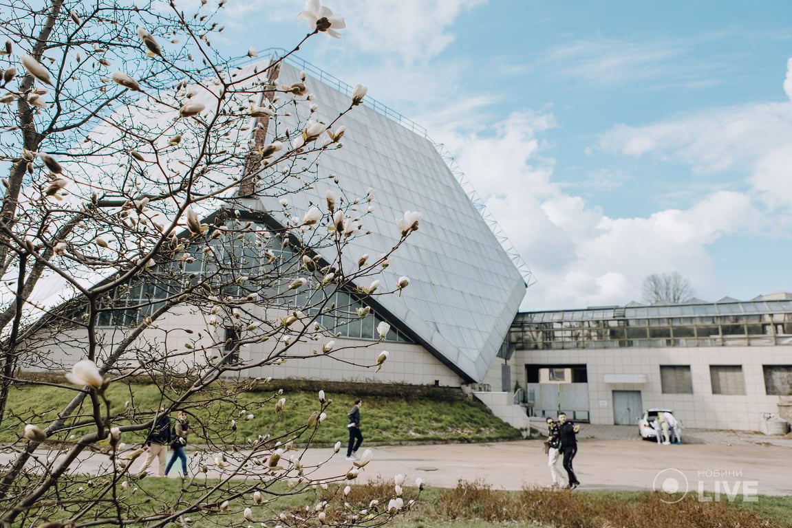 Весенний вернисаж в ботаническом саду Киева