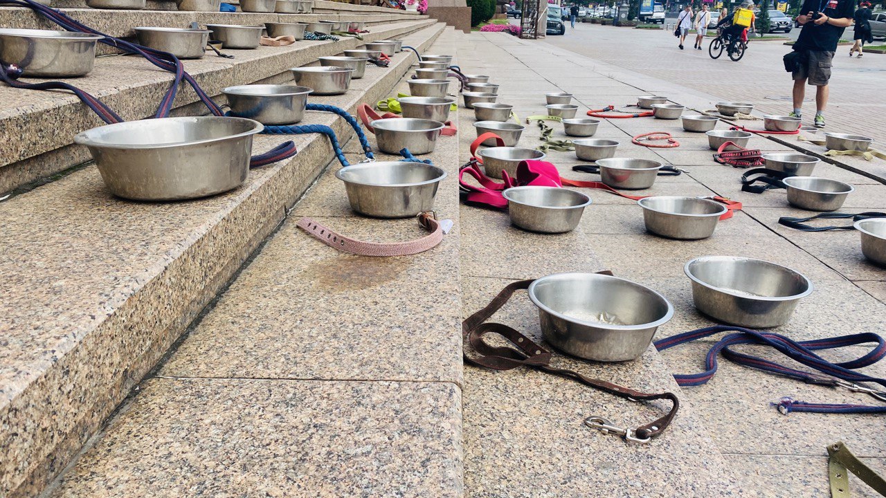 Акция под КГГА