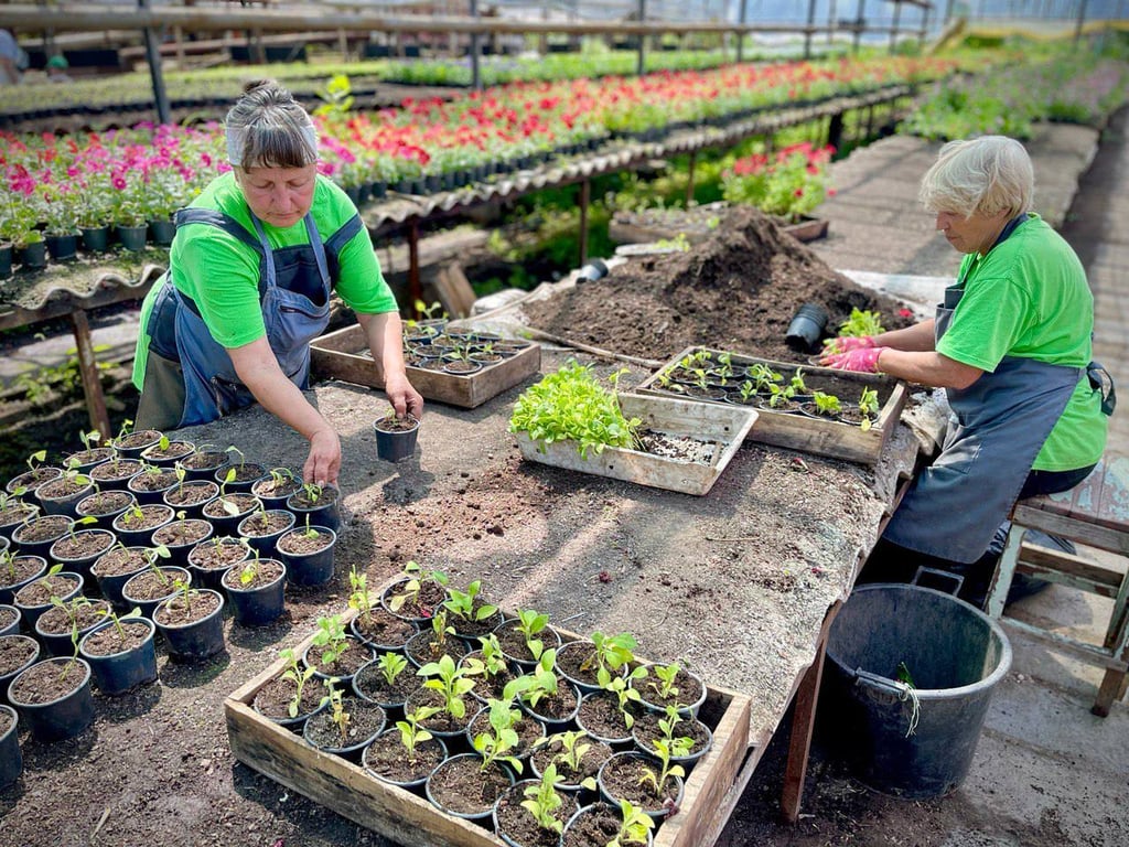 Комунальники на власному прикладі демонструють тонкощі пересаджування квітів. Фото: Одеська міська рада