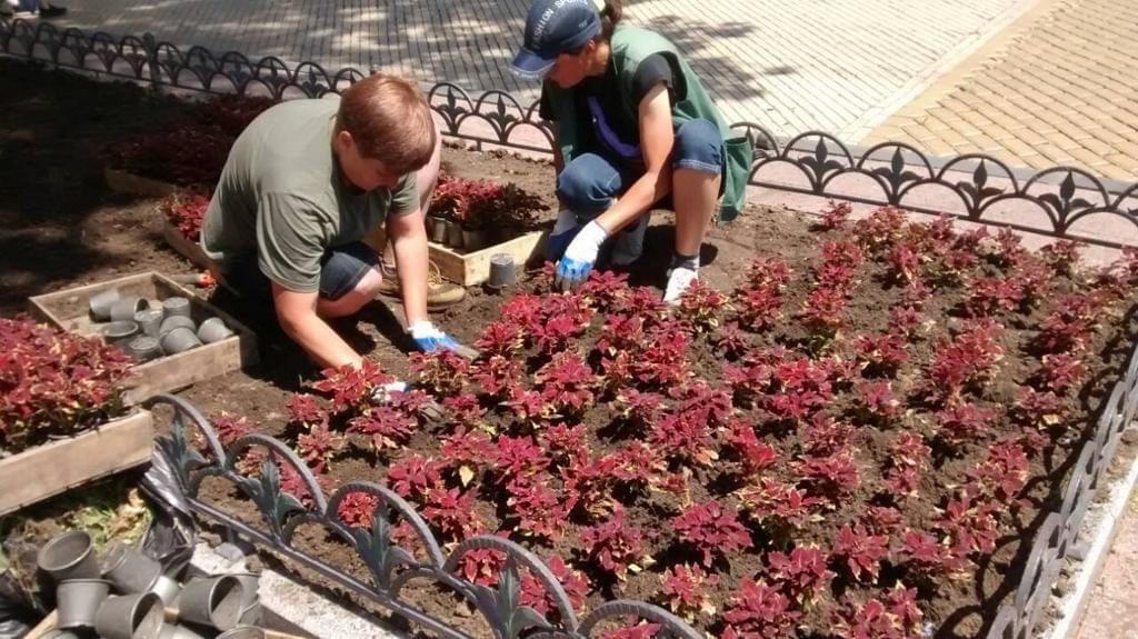 Висадження рослин в Одесі. Фото: Одеська міська рада. 