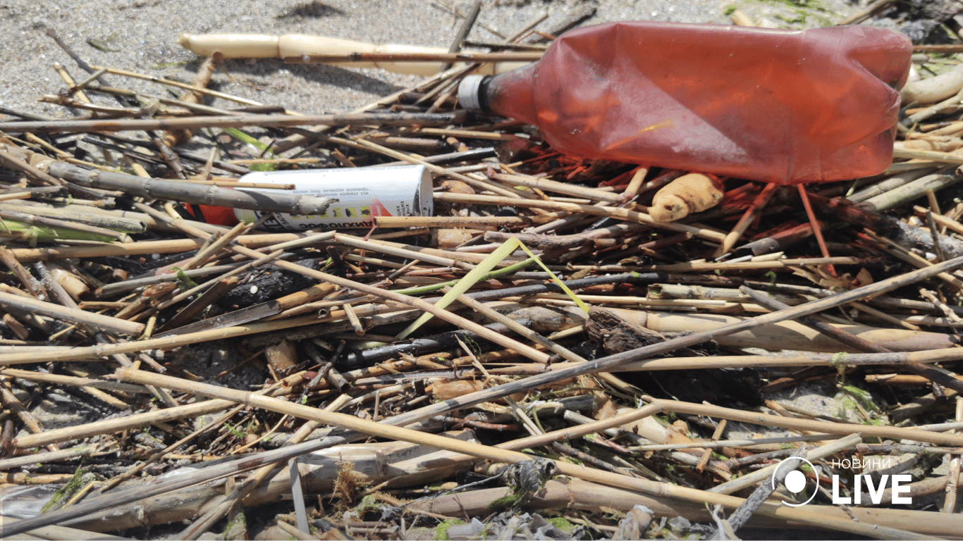 Сміття на березі Одеси. Фото: Юлія Браславська / Новини.LIVE