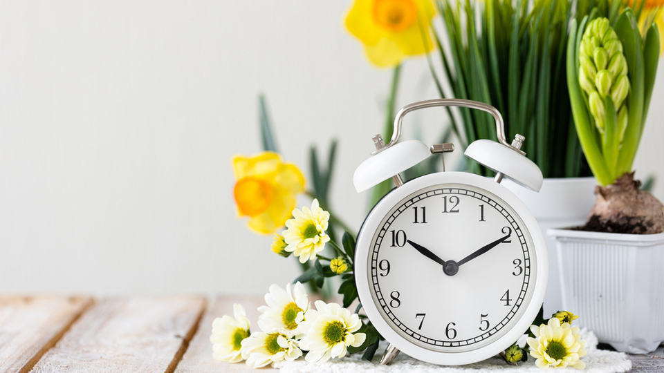 Когда и куда перевести часы на летнее время