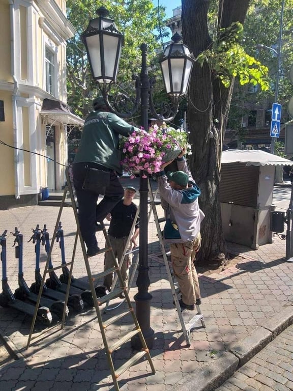 Вазони з квітами в Одесі. Фото: Одеська міська рада. 