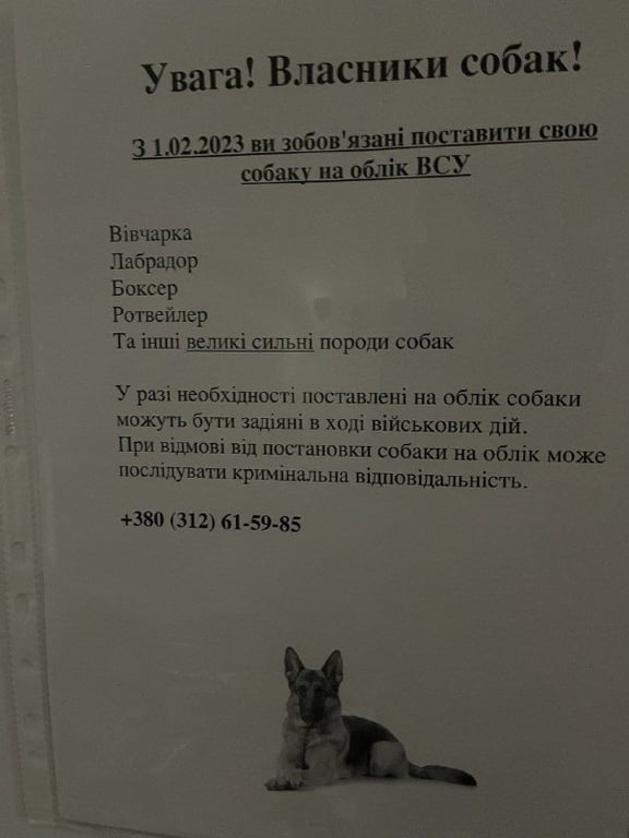 Собаки в Украине