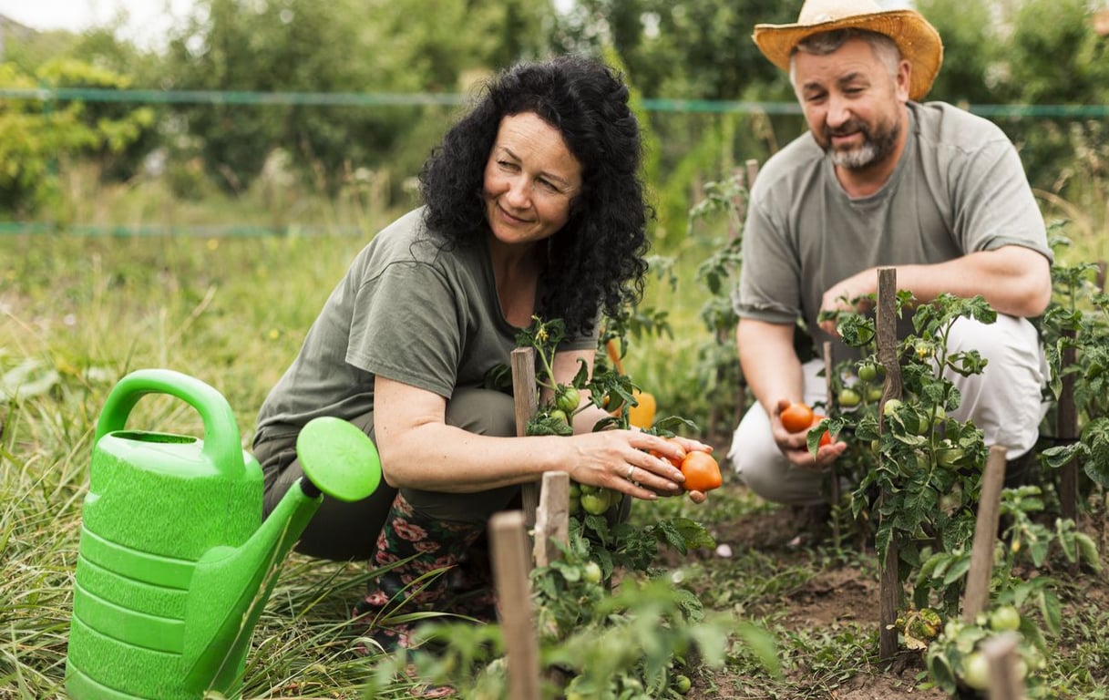 Що можна посадити в червні на городі