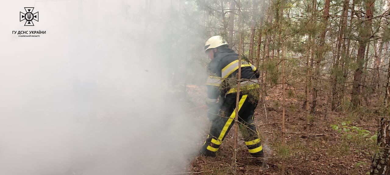 Ликвидация пожара под Киевом