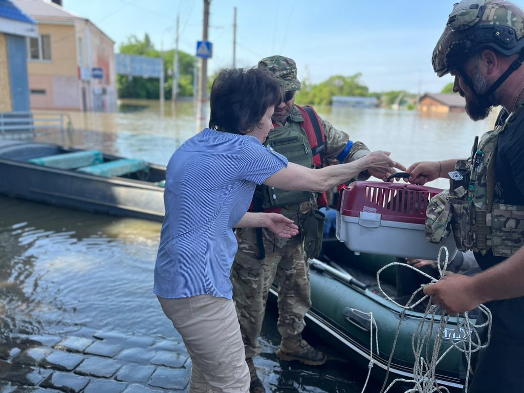 Місцеві не покидають своїх домашніх улюбленців. Фото: Нацгвардія