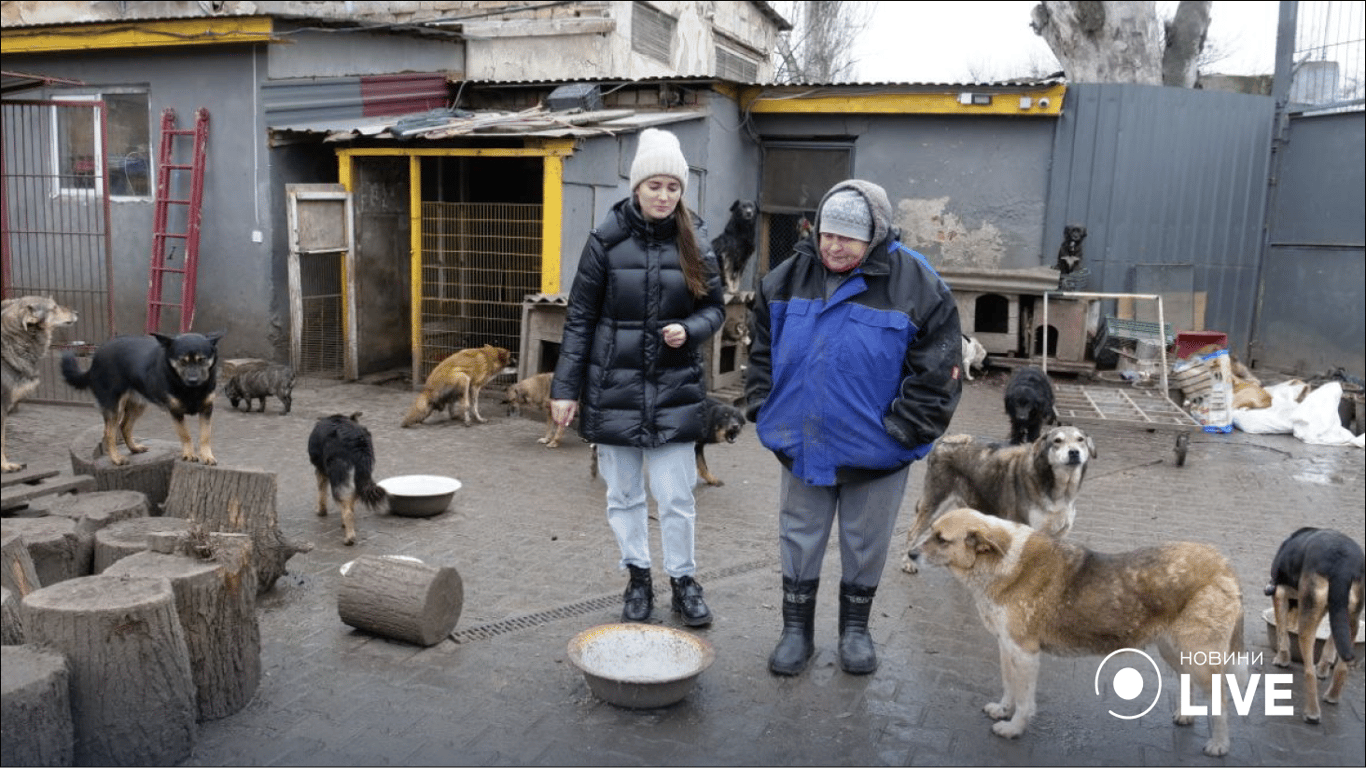 Приют "Ковчег" в Одессе