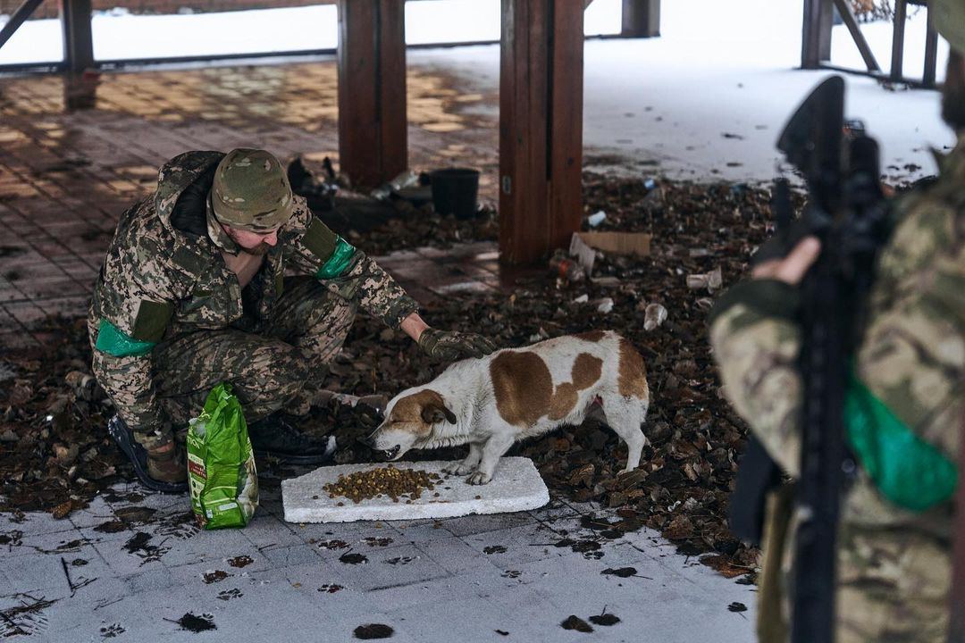 війна в Україні