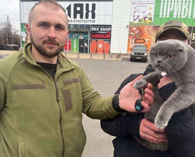 Кот Геральд