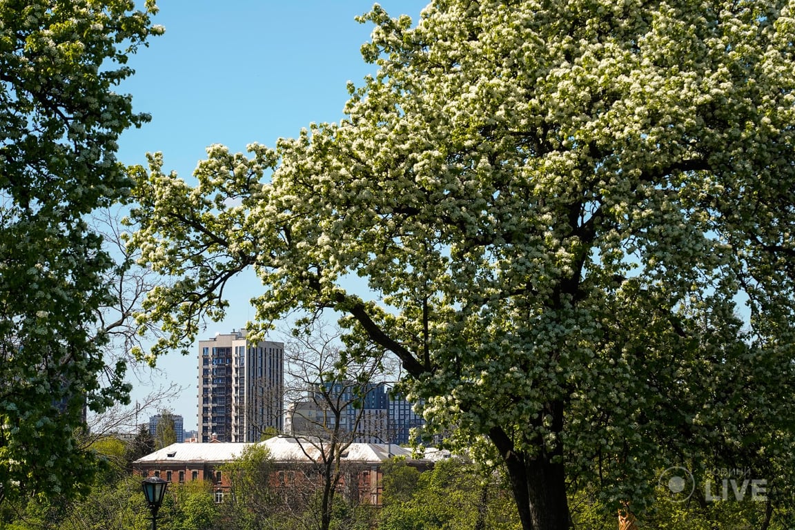 Весна в Киеве