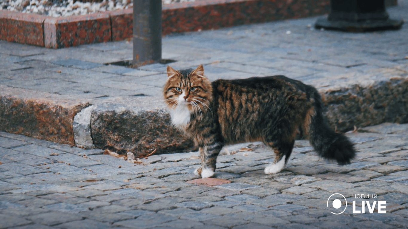 Одесса