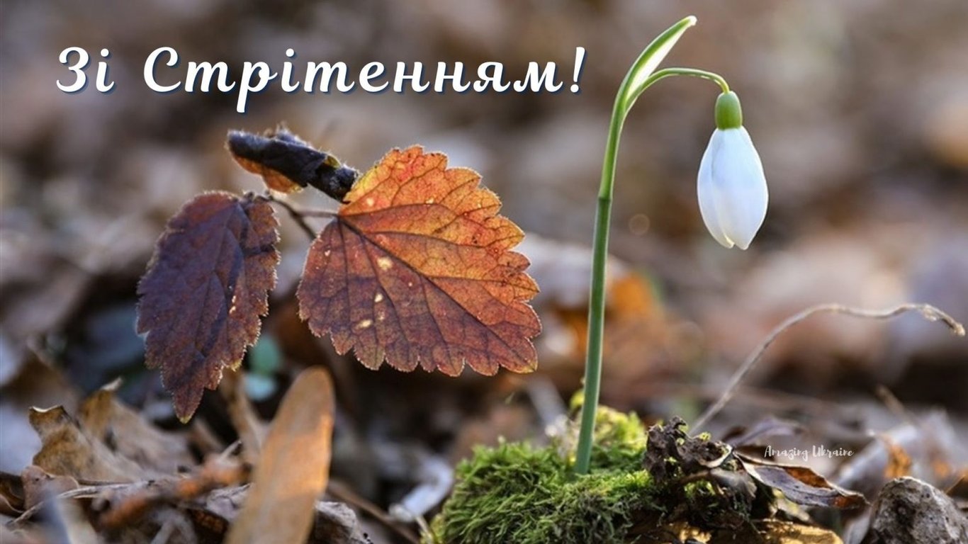 Стрітення Господнє — привітання