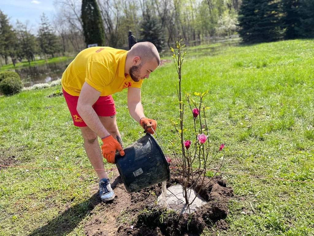 Алея Пам'яті Героїв