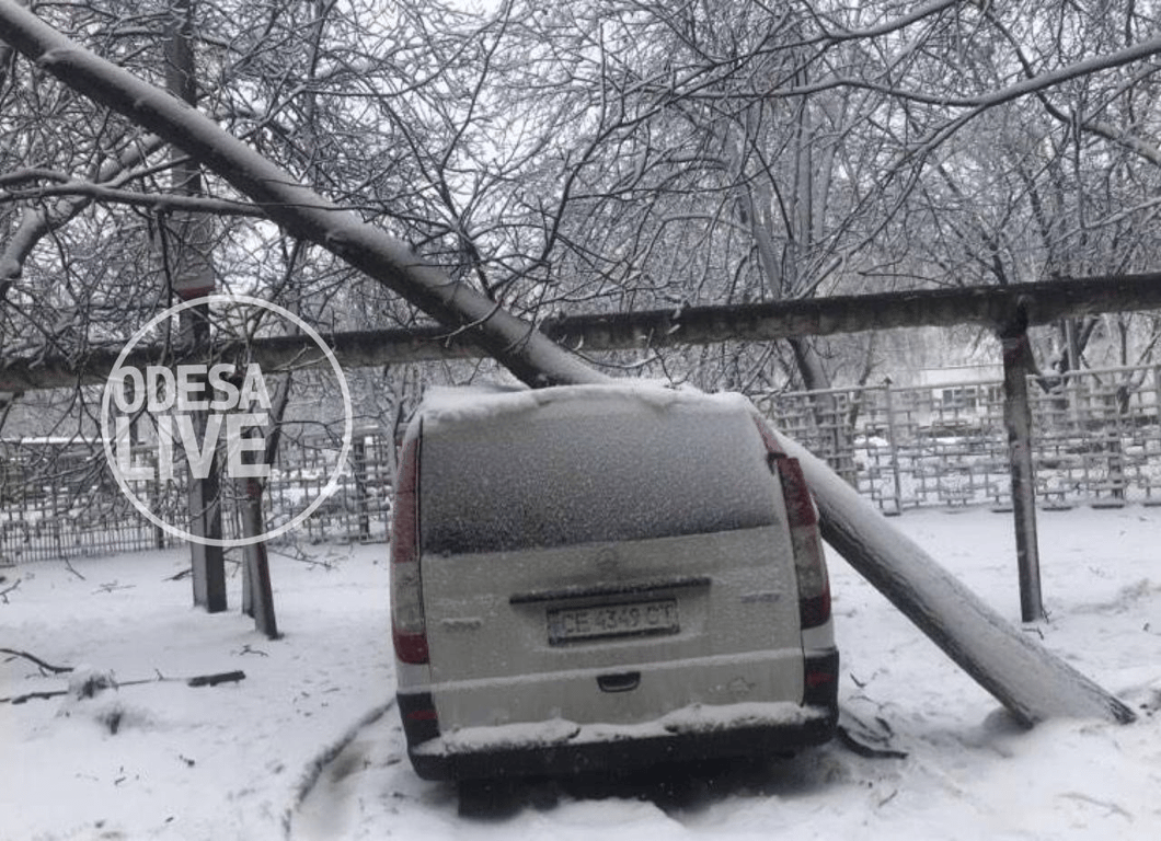 ДТП на дорогах та повалені дерева: наслідки хуртовини в Одесі