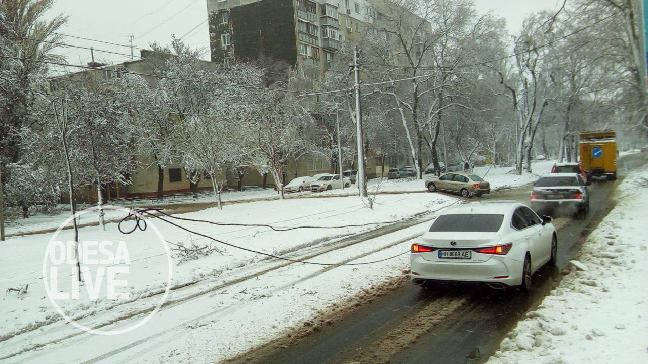 ДТП на дорогах та повалені дерева: наслідки хуртовини в Одесі