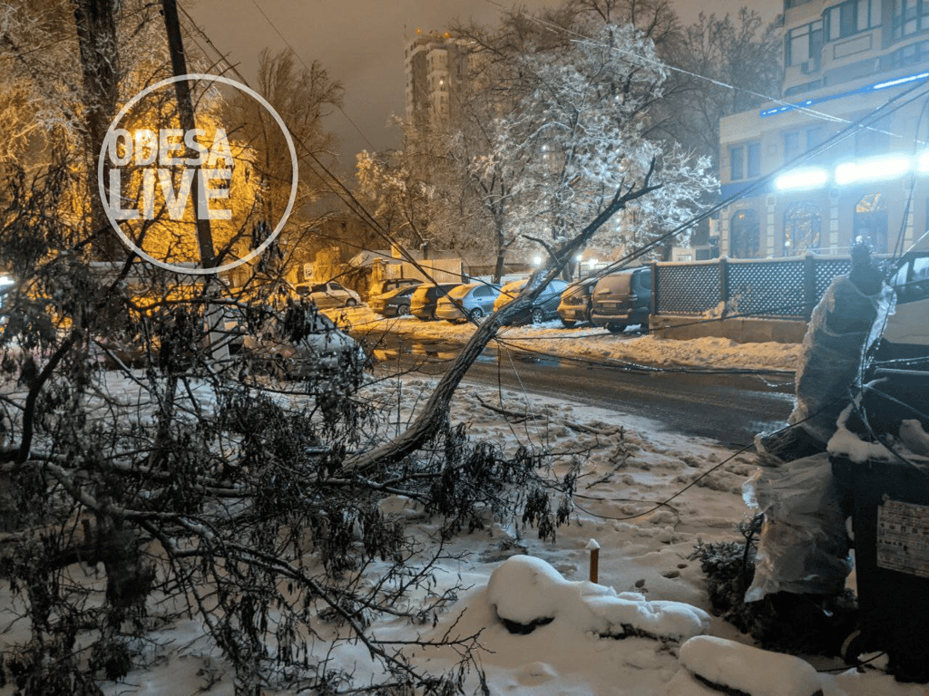 ДТП на дорогах та повалені дерева: наслідки хуртовини в Одесі