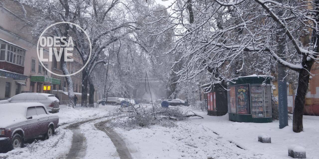 ДТП на дорогах та повалені дерева: наслідки хуртовини в Одесі