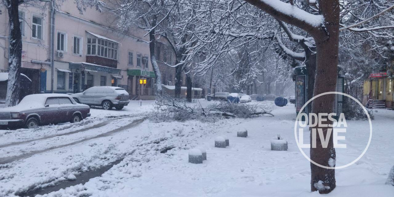 ДТП на дорогах та повалені дерева: наслідки хуртовини в Одесі