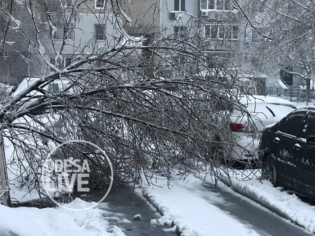 ДТП на дорогах та повалені дерева: наслідки хуртовини в Одесі