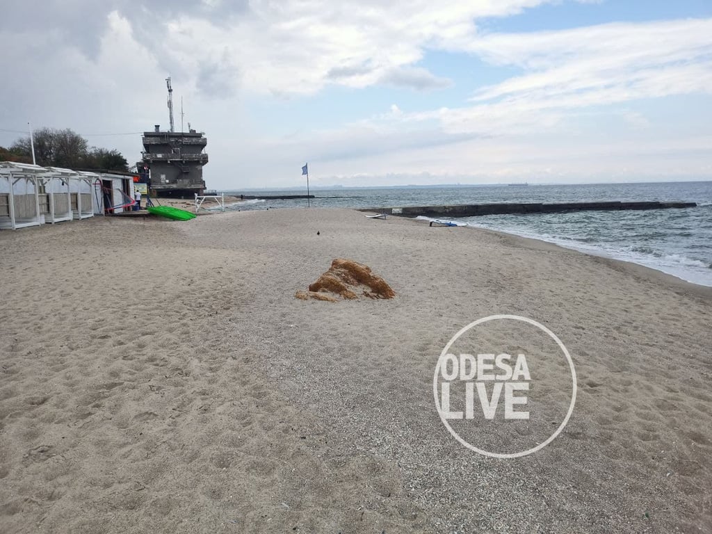 Фото: Odesa Live