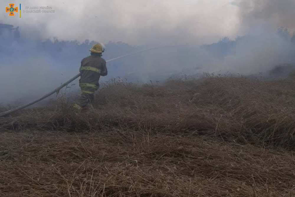 В Одеській області пожежа на пшеничному полі знищила кілька гектарів