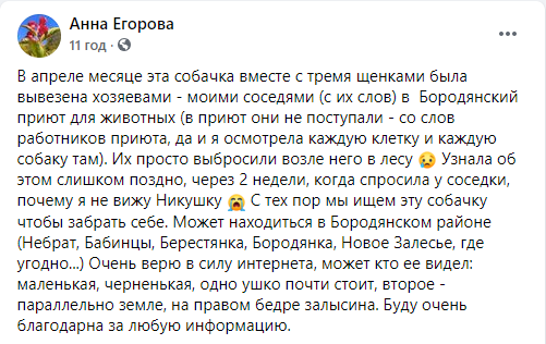 На Київщині шукають собаку, якого власники викинули в лісі