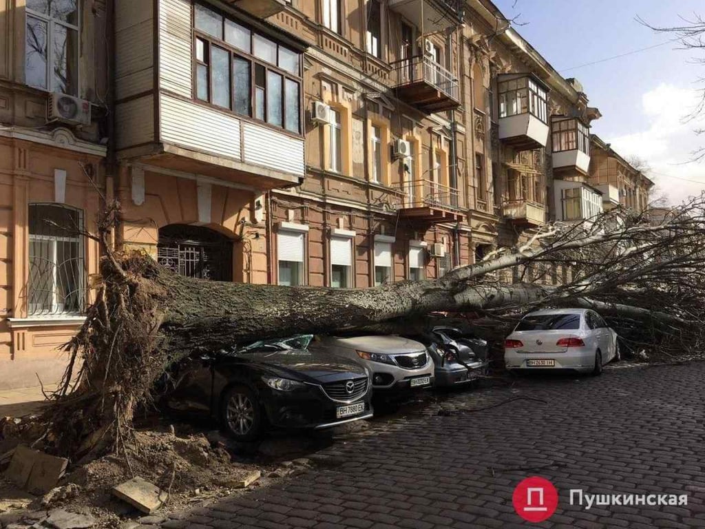 Постраждалі, злива, Одеса