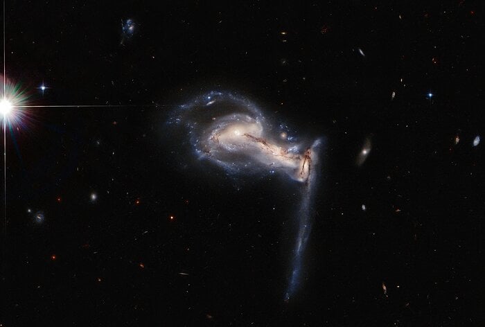Скупчення галактик в сузір'ї Рисі