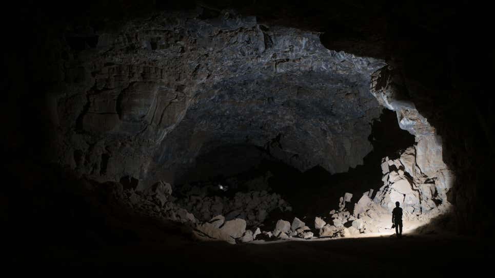 археологи, знахідка, печера, гієни