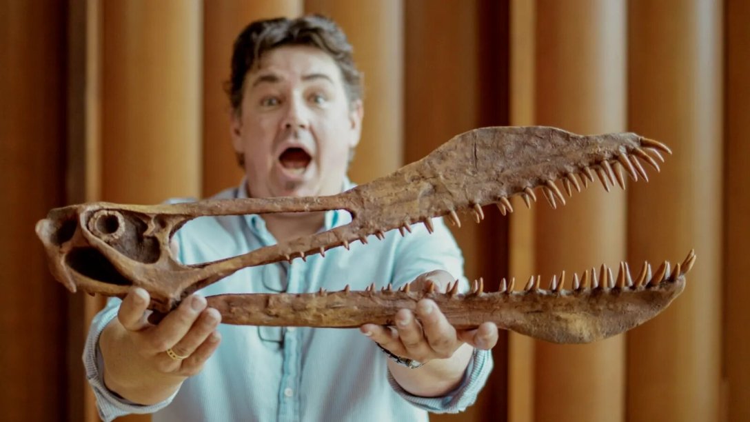 Майже справжній дракон: в Австралії досліджують кістки гігантської лет