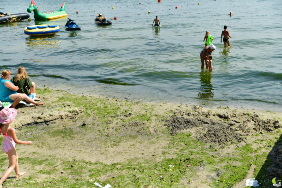 В Аркадії після дощу брудні пляжі і в морі плавають засоби гігієни