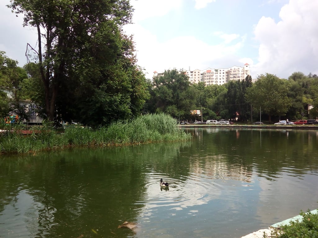 Дюківський парк, одеські парки, Молдаванка і Слобідка, дача Рішельє