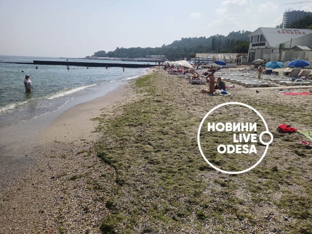Пляжи, Одеси, Море, забруднення