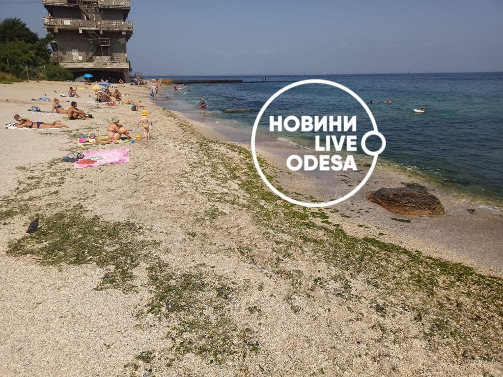 Пляжи, Одеси, Море, забруднення